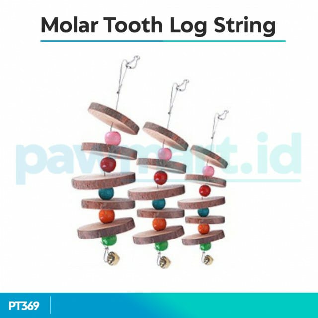 Hamster-molar-tooth-log-string.jpg