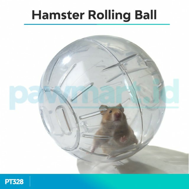 Hamster-rolling-ball.jpg