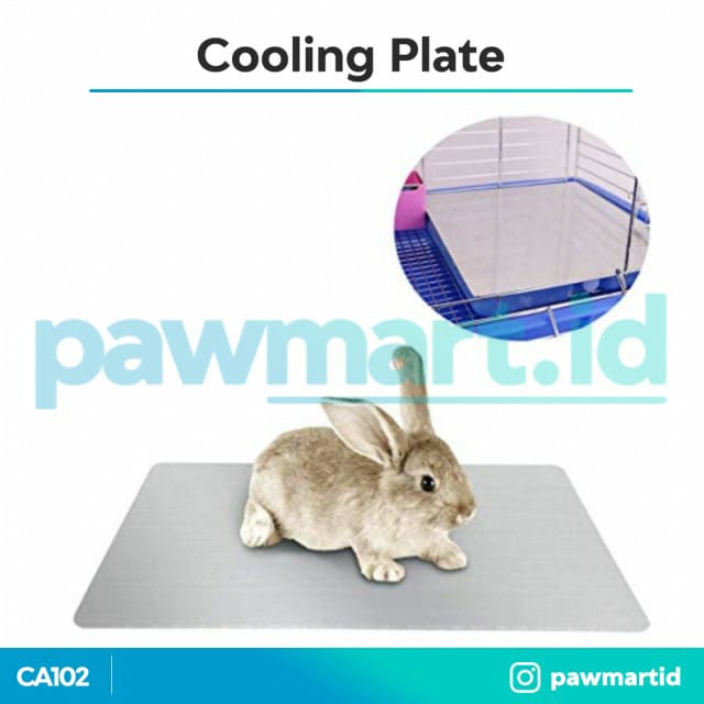 Kelinci-cooling-plate.jpg