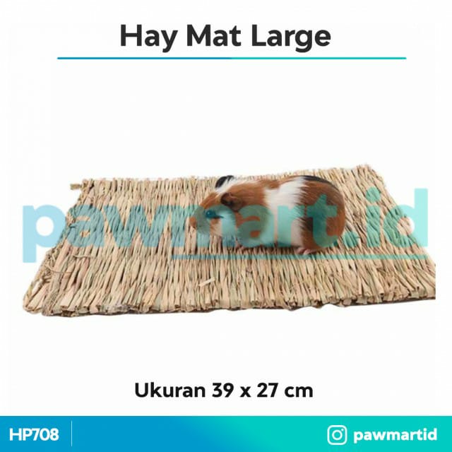 Kelinci-hay-mat-large.jpg