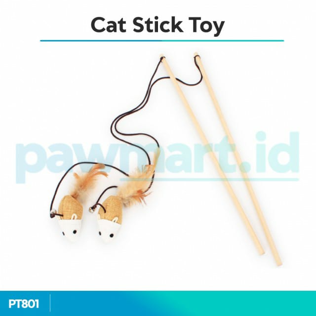 kucing-cat-stick-toy.jpg