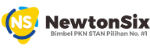 logo-newtonsix-1
