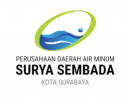 PDAM Surabaya (2)